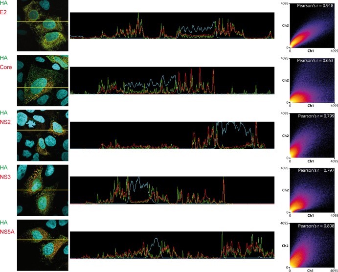 Fig 6