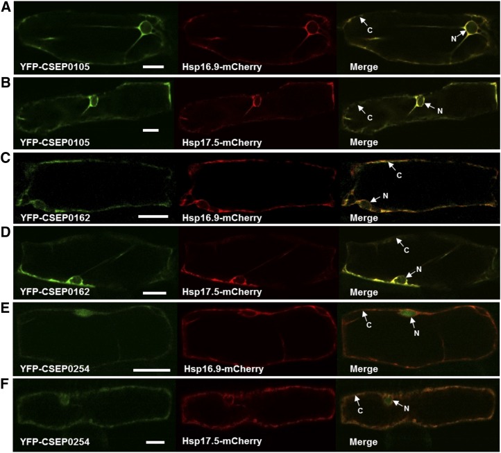 Figure 6.