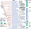 Fig. 3.