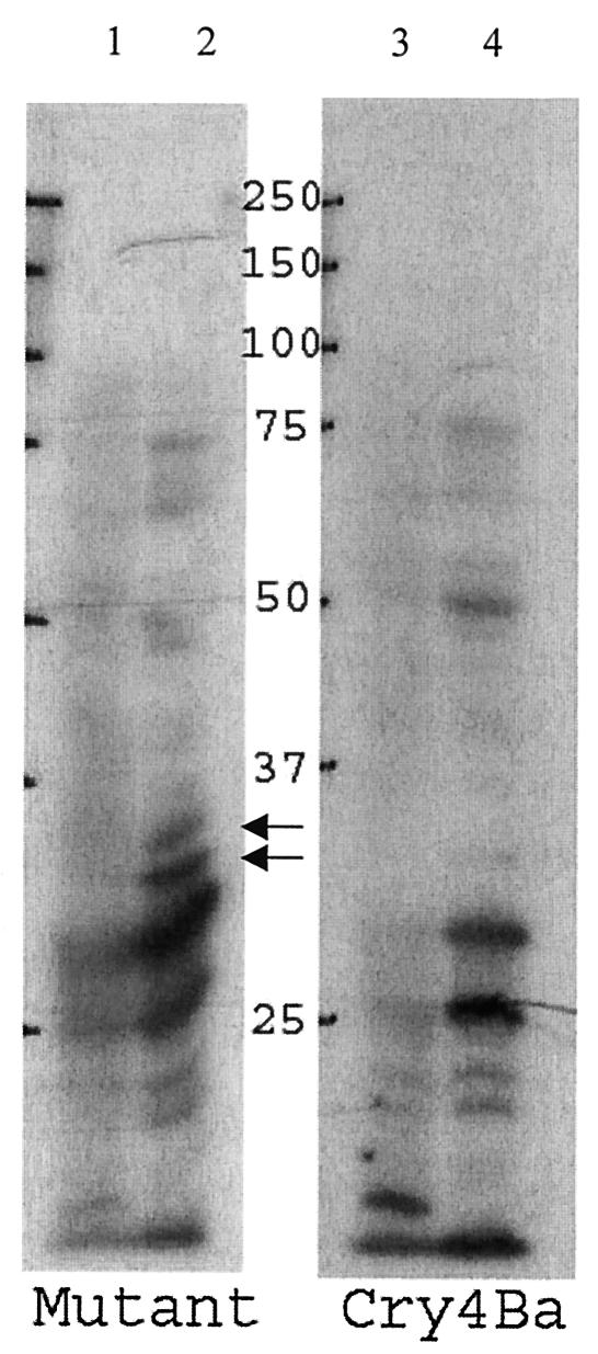 FIG. 7.