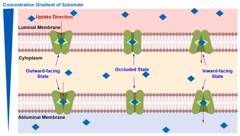 Figure 10