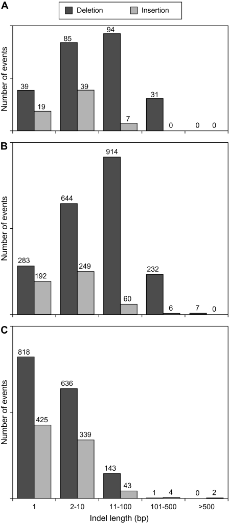 FIG. 2.—