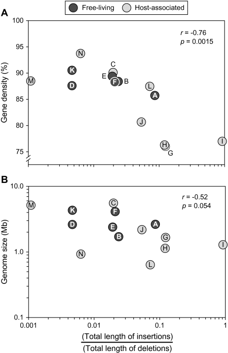 FIG. 3.—