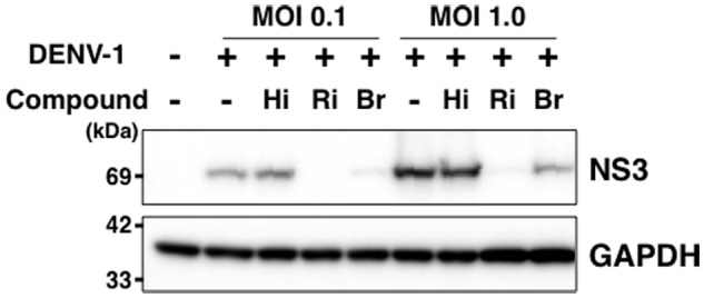 FIGURE 4