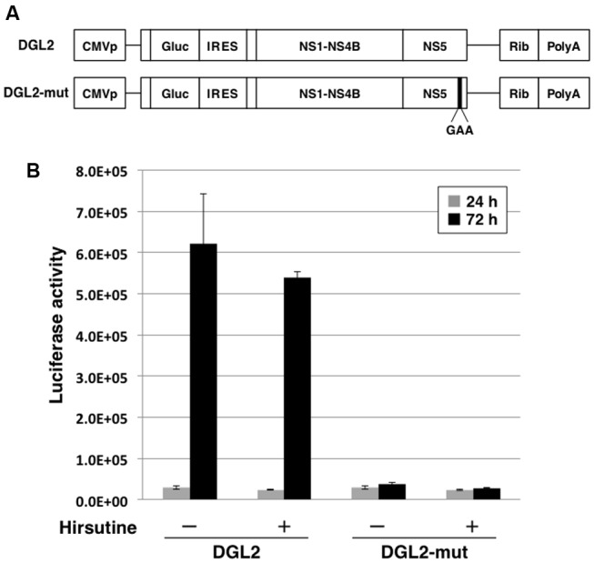 FIGURE 3