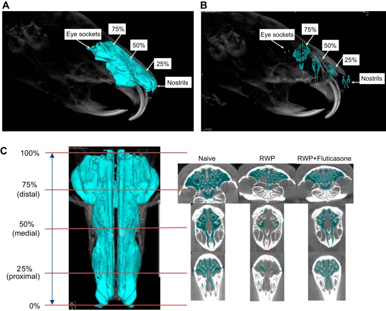 Fig. 8.