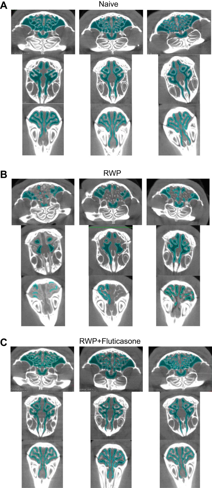 Fig. 9.