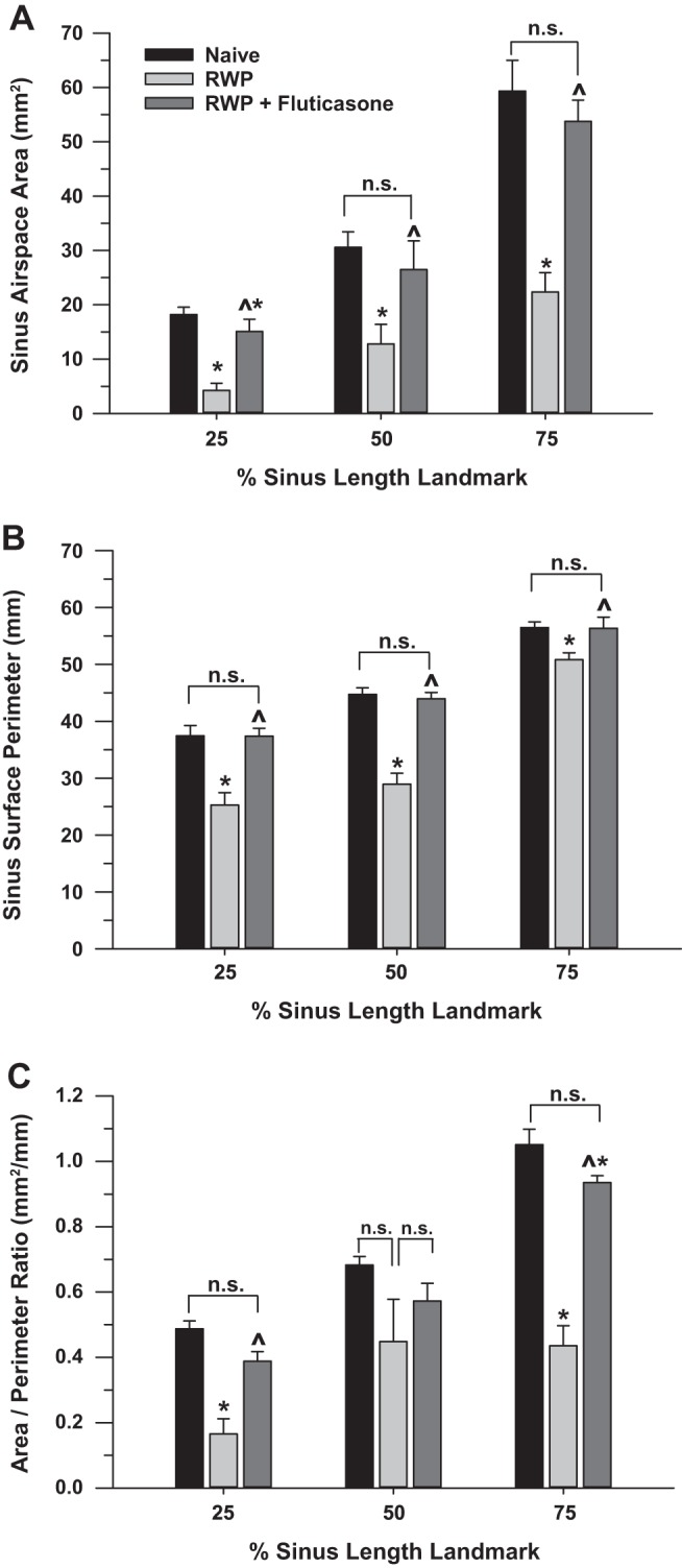 Fig. 10.