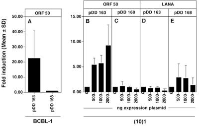 FIG. 7