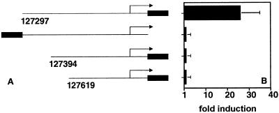 FIG. 8