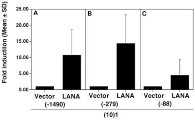 FIG. 9