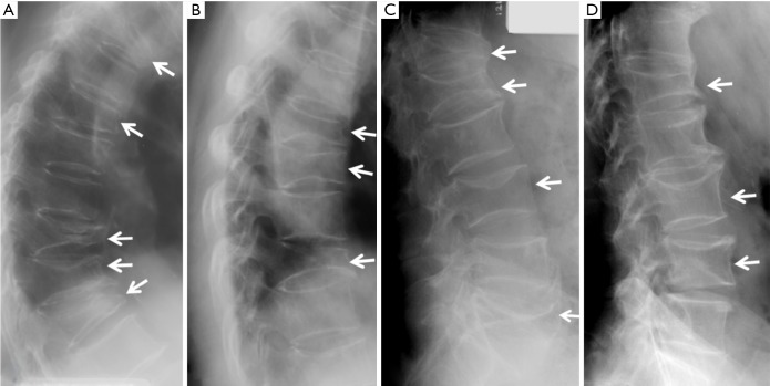 Figure 20