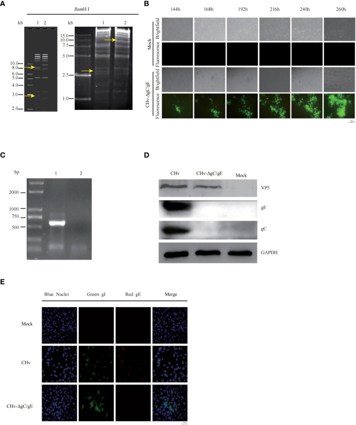 Figure 2