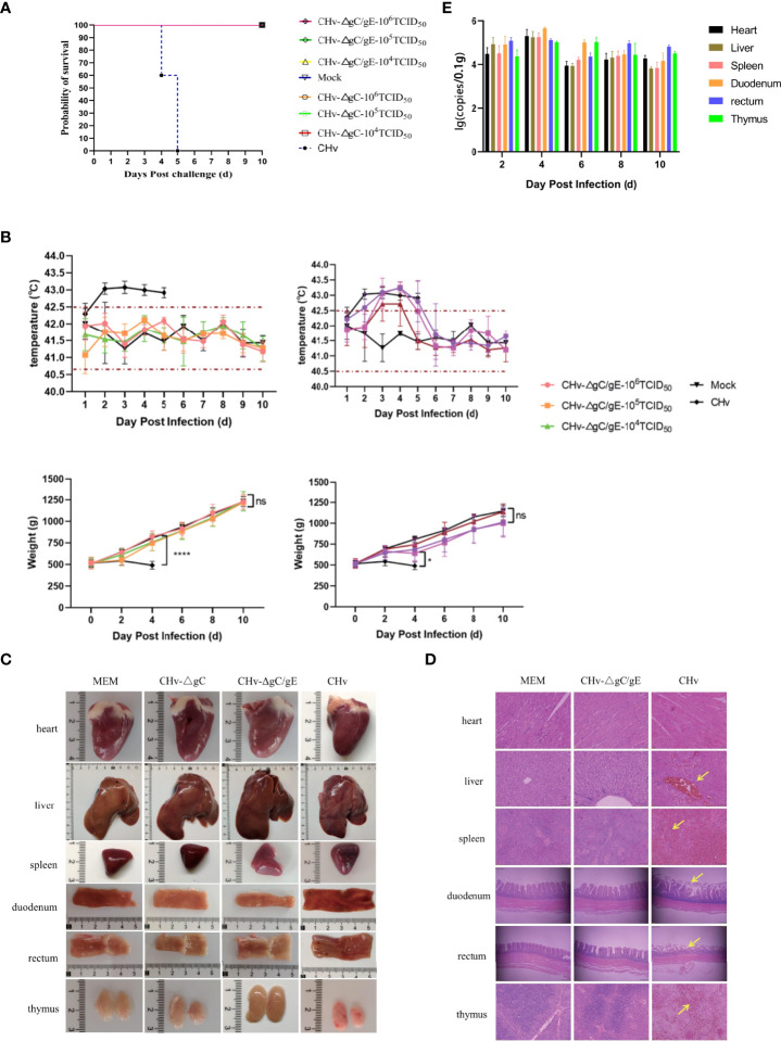 Figure 4