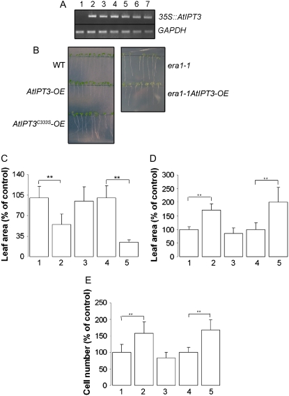 Figure 3.