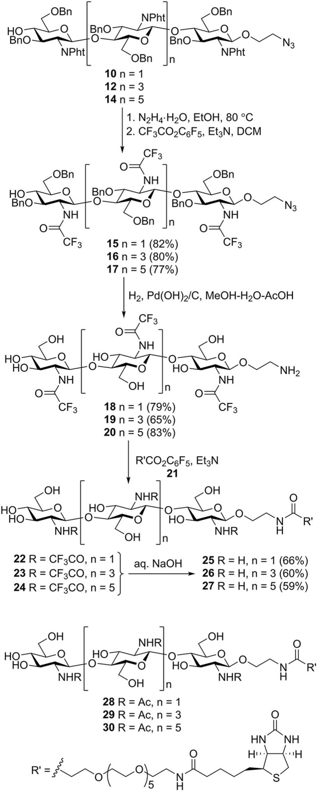 Scheme 3