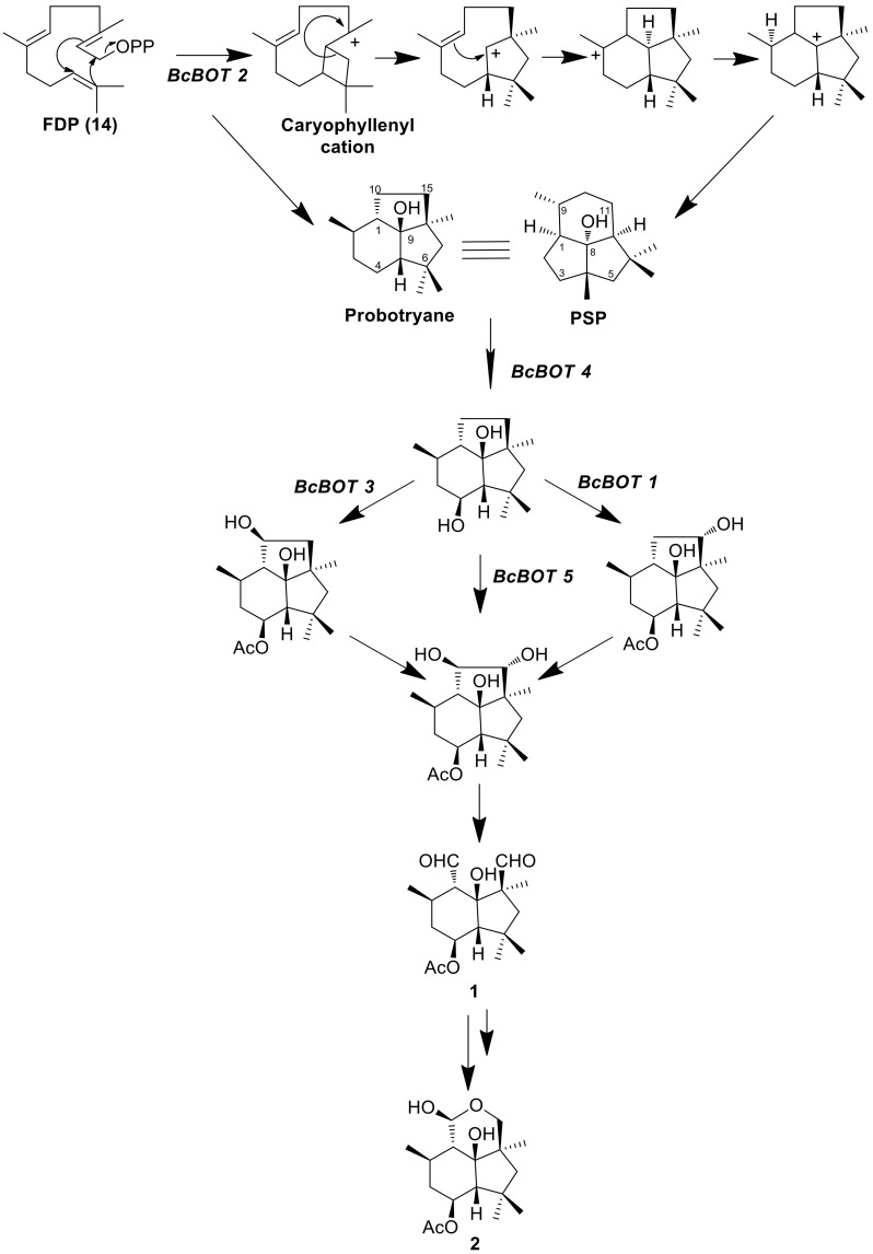 Figure 9