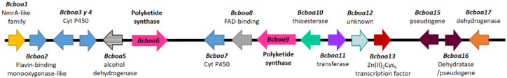 Figure 6