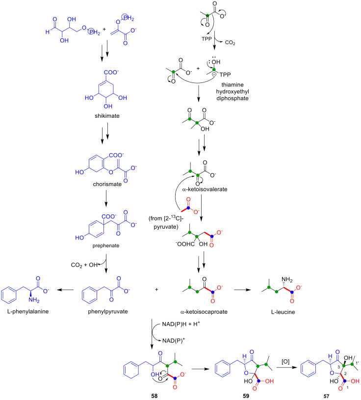 Figure 17