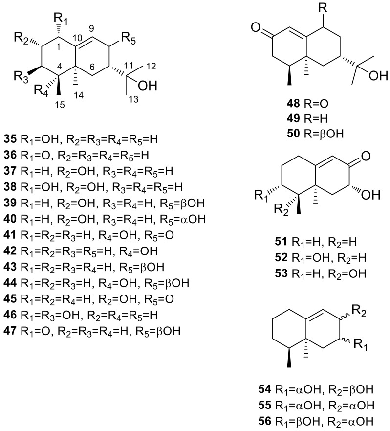 Figure 13