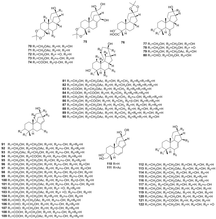 Figure 19