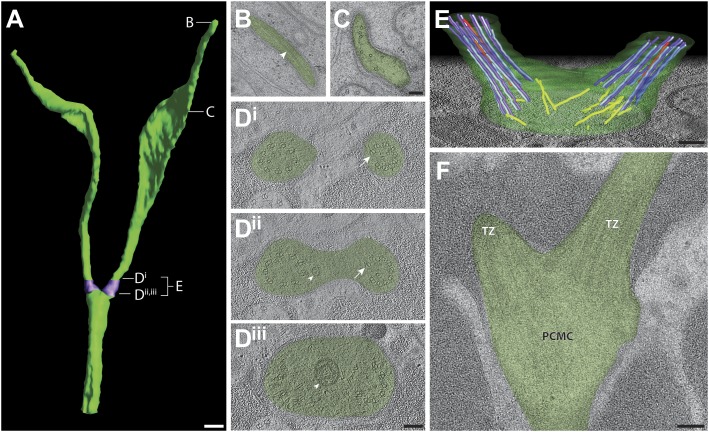 Figure 9.