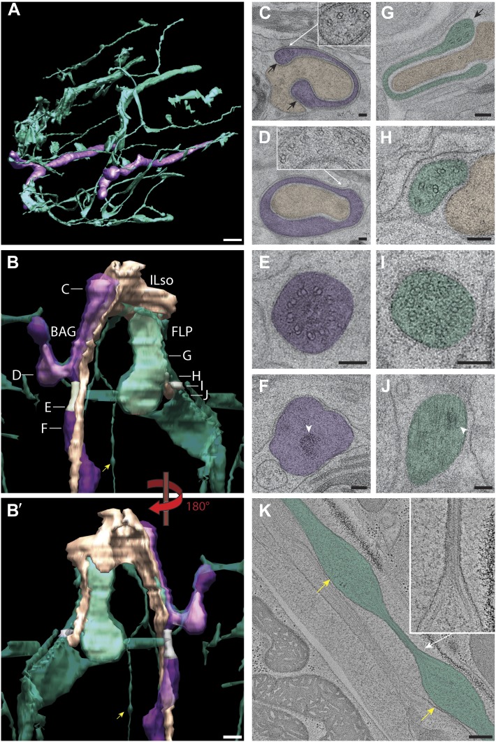 Figure 15.