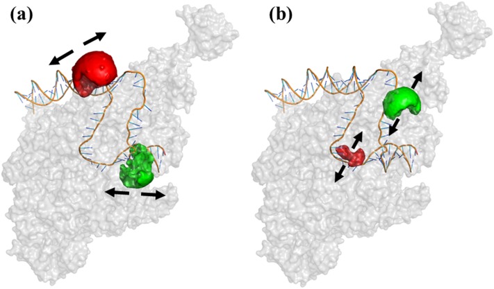 FIG. 1.