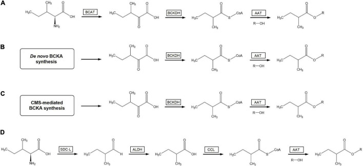 FIGURE 3