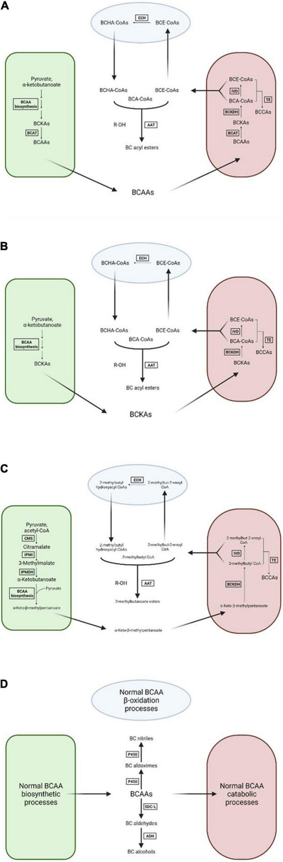 FIGURE 2