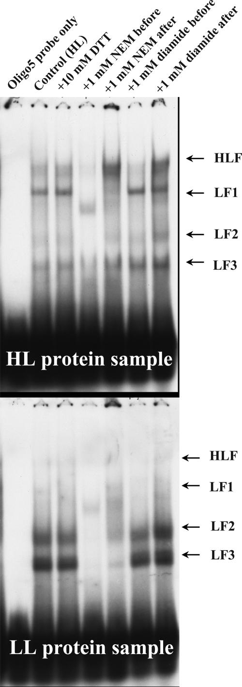 Figure 11.