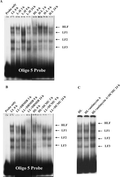 Figure 10.