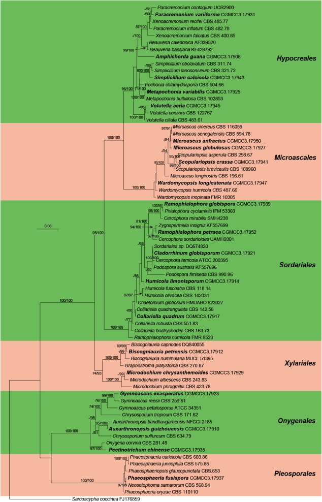 Fig. 2