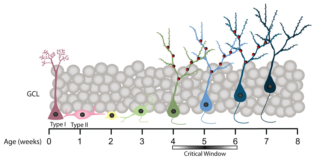 Figure 11