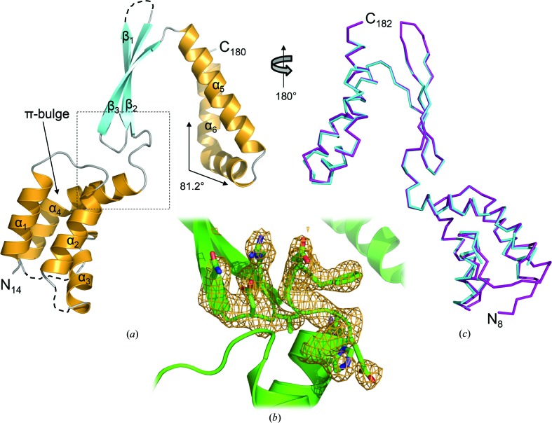 Figure 2