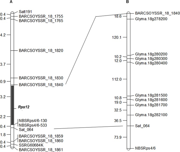 Fig 5