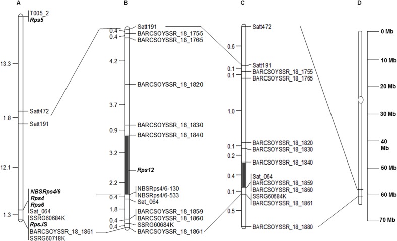 Fig 4