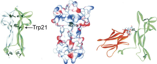 Figure 7.