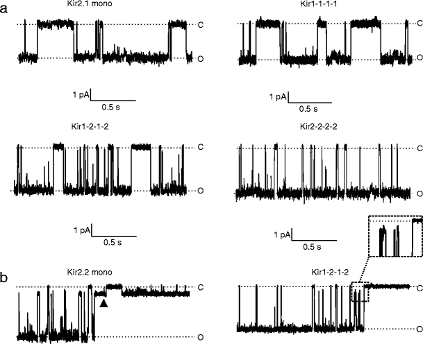 Fig. 1