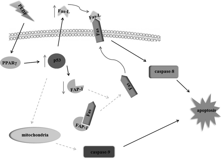 FIGURE 11.