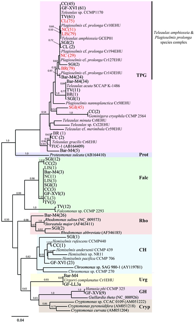 FIGURE 3