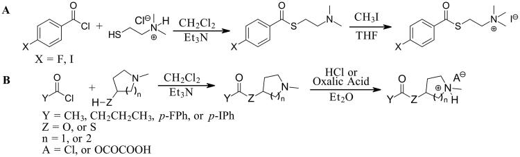 Scheme 1.