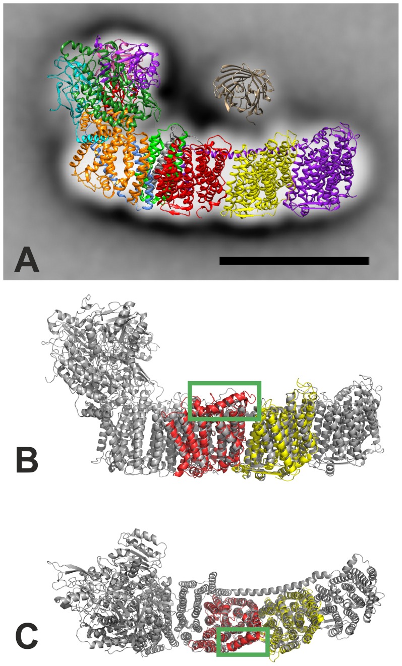 Figure 6