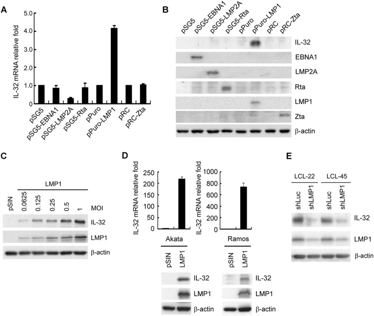 FIG 2