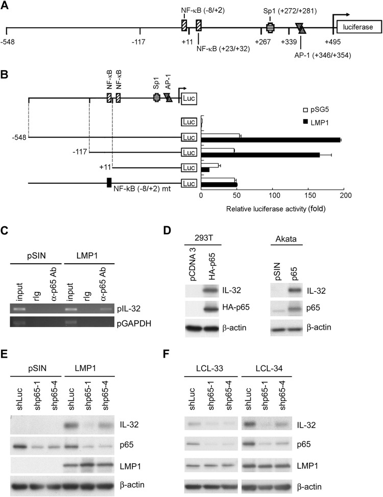 FIG 4