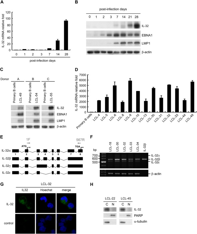 FIG 1