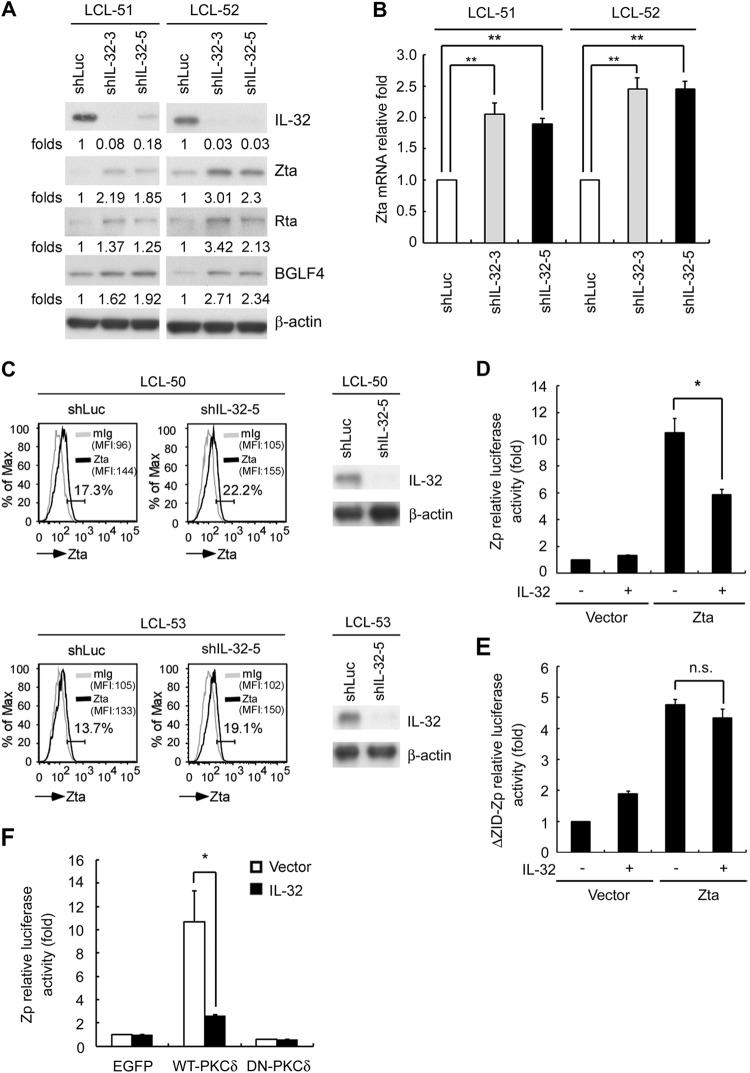 FIG 6