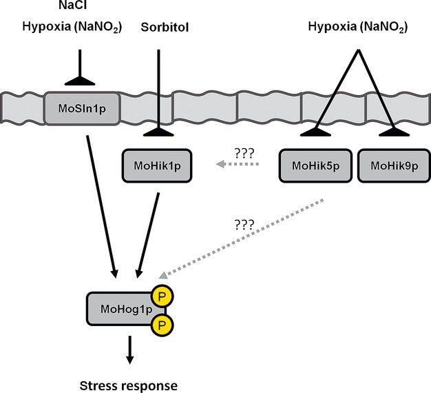 Figure16