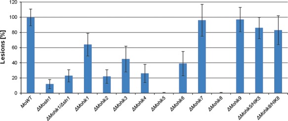 Figure 13