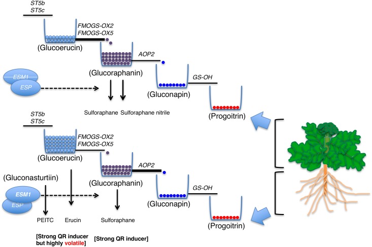 Fig 6